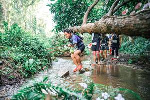 BIB: 
                            <button type="button" onclick="openModal(25515963)" class="btn btn-primary btn-sm float-right btn-popup" data-toggle="modal" data-target=".modal-high-quality">
                        <i class="fas fa-shopping-cart"></i> Add to Cart
                    </button>
                                            <button type="button" onclick="isThisMe(25515963, true)" class="btn btn-success btn-sm float-right btn-popup btn-isme hidden" data-toggle="tooltip" data-placement="bottom" title="นี่คือรูปของคุณใช่ไหม คลิกที่นี่เพื่อเอาเข้าอัลบั้ม">
                        <i class="fas fa-plus"></i> Add to album
                    </button>
                    <button type="button" onclick="isThisMe(25515963, false)" class="btn btn-warning btn-sm float-right btn-popup btn-isnotme hidden">
                        <i class="fas fa-ban"></i> Remove from album
                    </button>